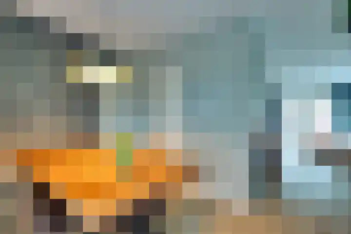 't Spiek 86 Beilen thumbnail 9