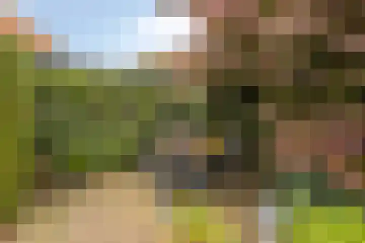 't Spiker 33 Warnsveld thumbnail 36