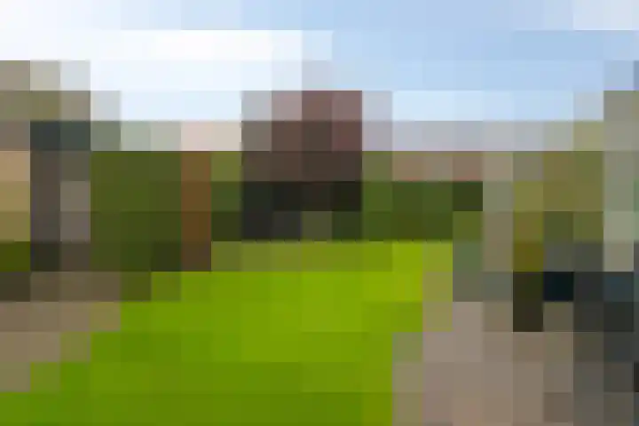 't Spiker 33 Warnsveld thumbnail 38