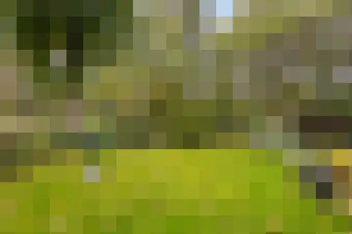 't Spiker 33 Warnsveld thumbnail 43