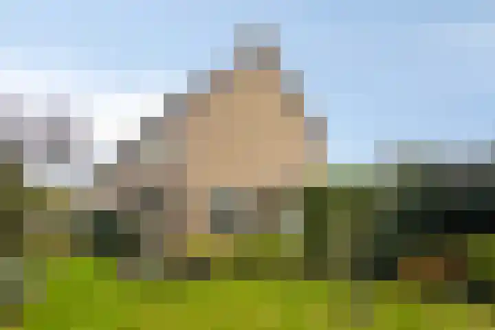 't Spiker 33 Warnsveld thumbnail 45