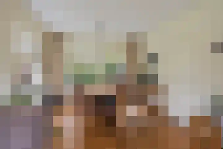 't Spiker 33 Warnsveld thumbnail 8