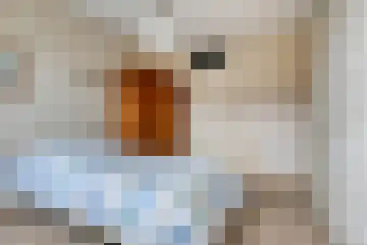 't Spil 45 Monnickendam thumbnail 16