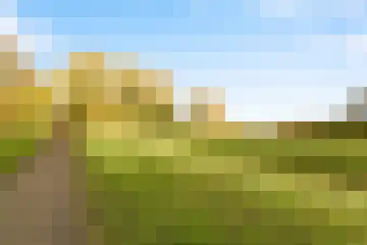't Spil 45 Monnickendam thumbnail 30