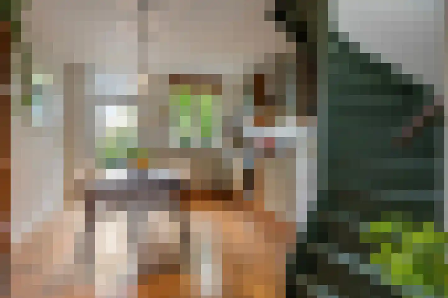 't Stepke 3 Ottersum thumbnail 15