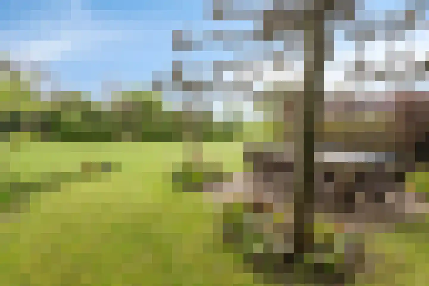 't Stepke 3 Ottersum thumbnail 56