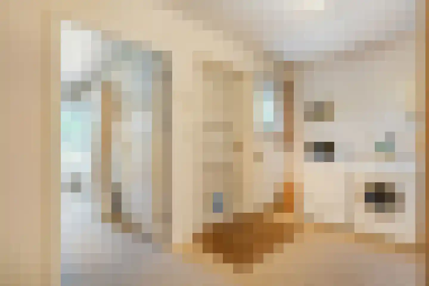 't Sumpel 52 Den Ham thumbnail 33