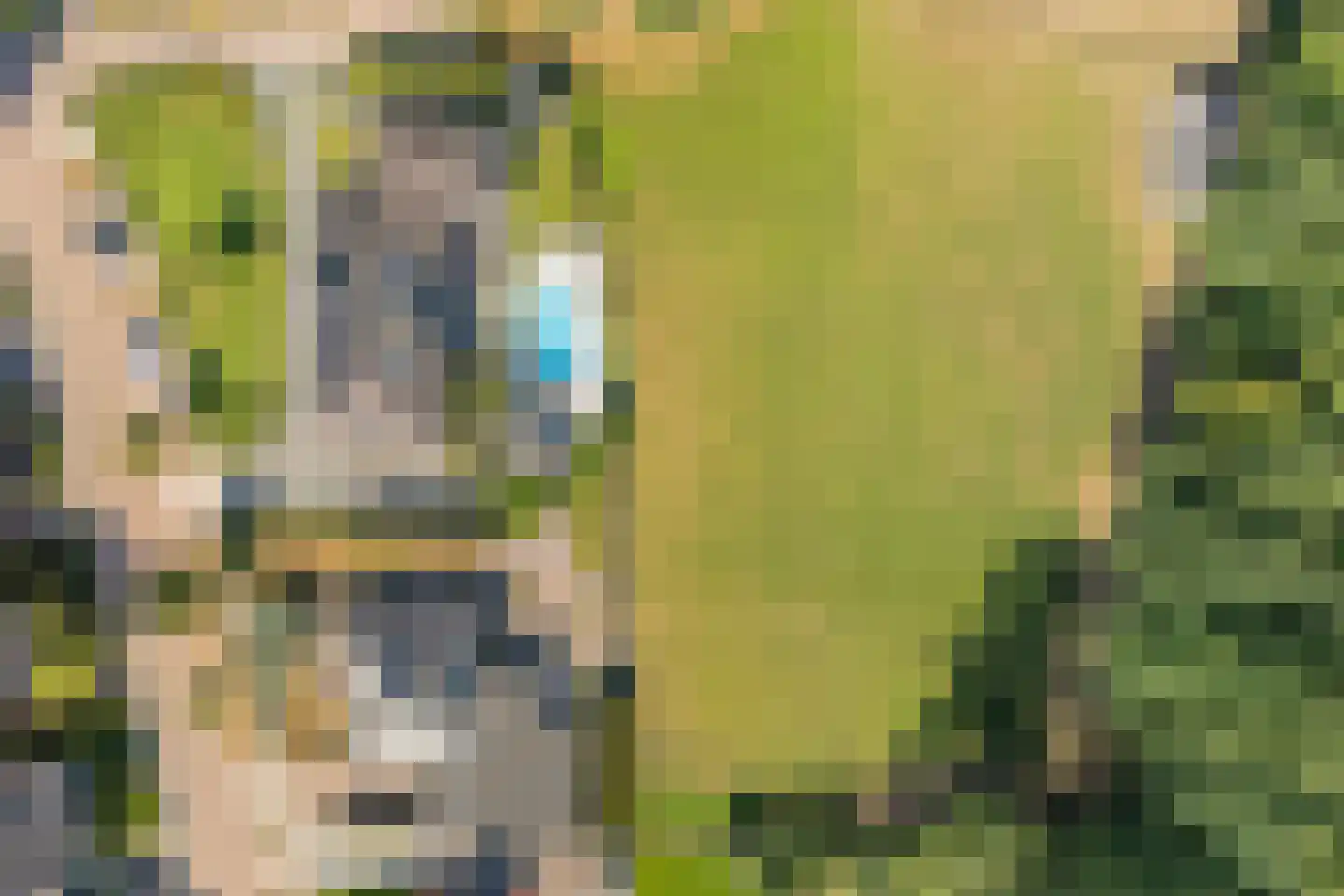 't Sumpel 52 Den Ham thumbnail 5