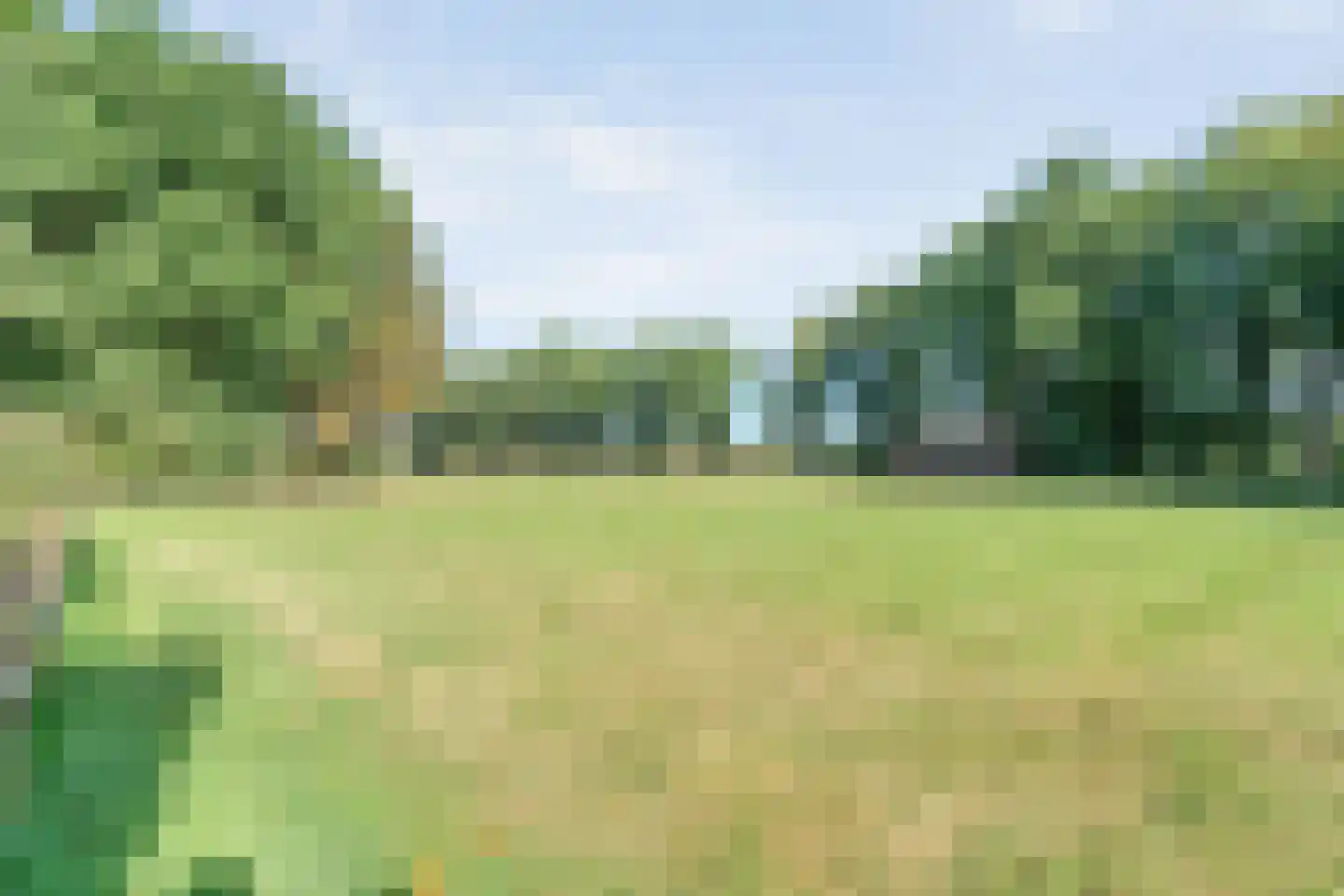 't Sumpel 52 Den Ham thumbnail 52