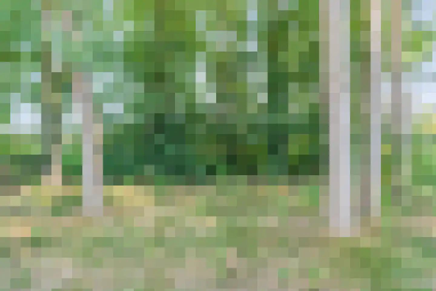 't Sumpel 52 Den Ham thumbnail 56