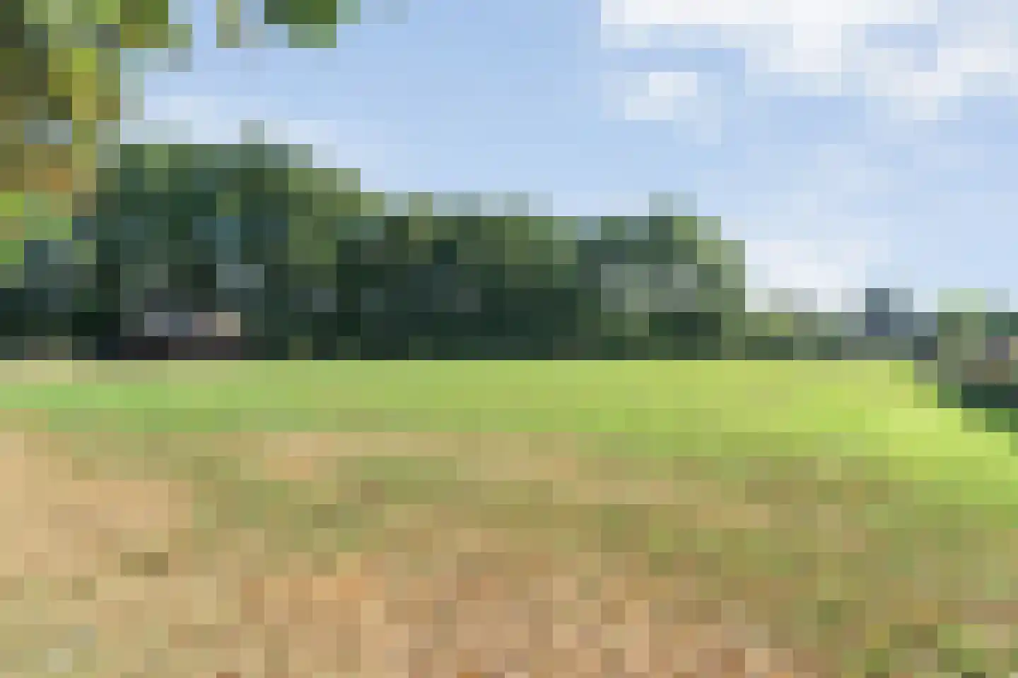 't Sumpel 52 Den Ham thumbnail 57