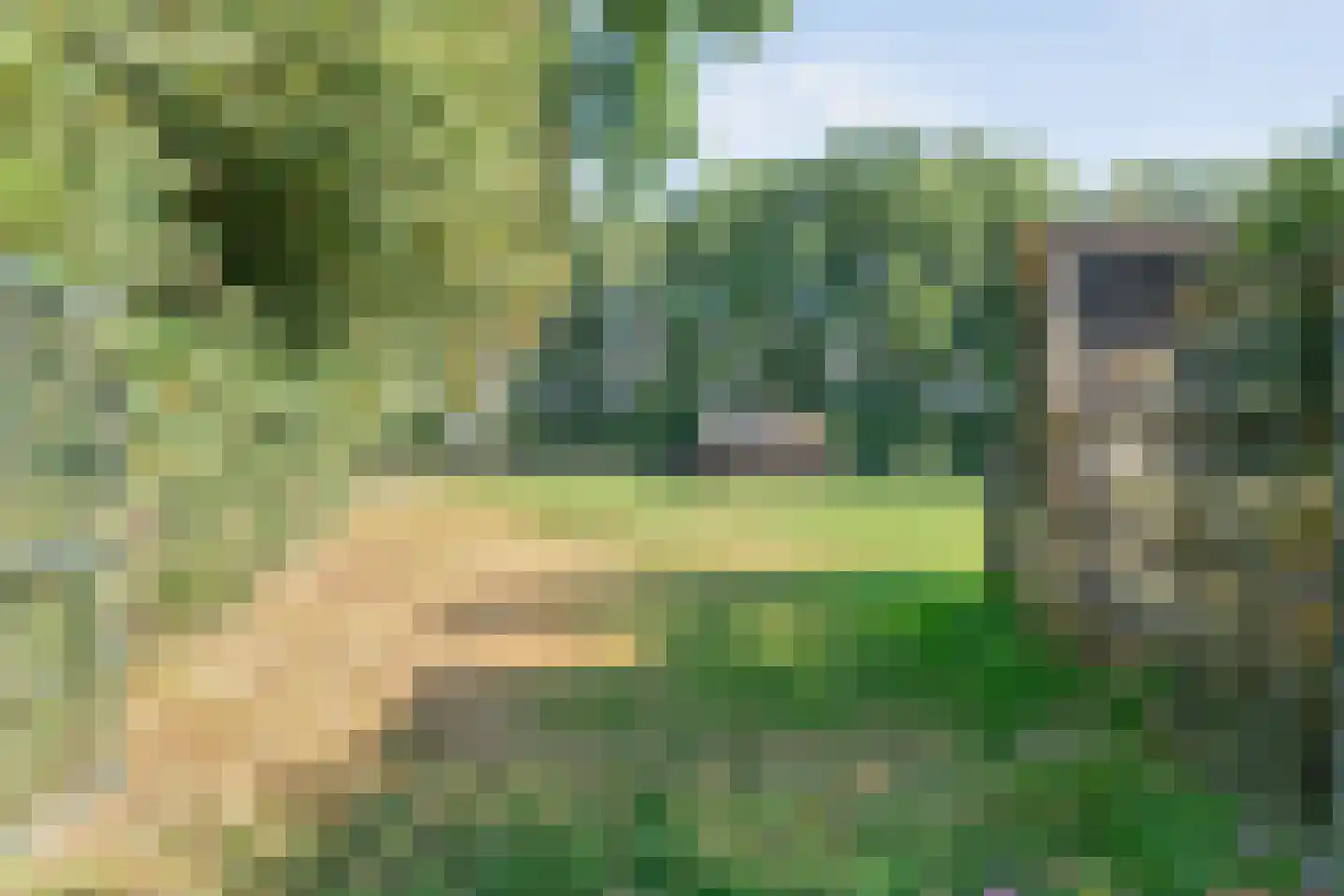 't Sumpel 52 Den Ham thumbnail 6