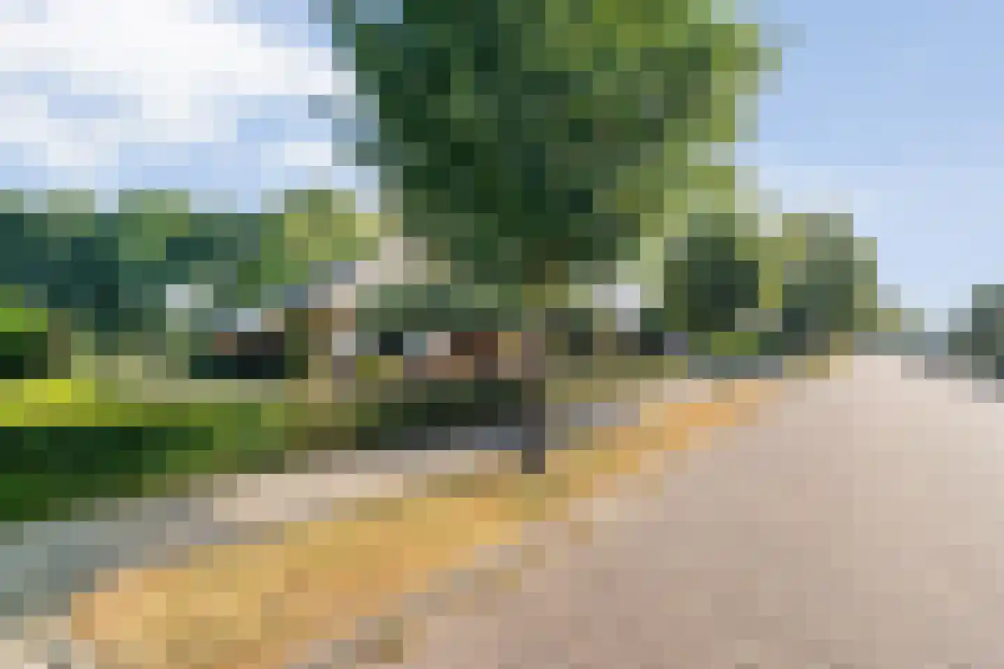 't Sumpel 52 Den Ham thumbnail 60