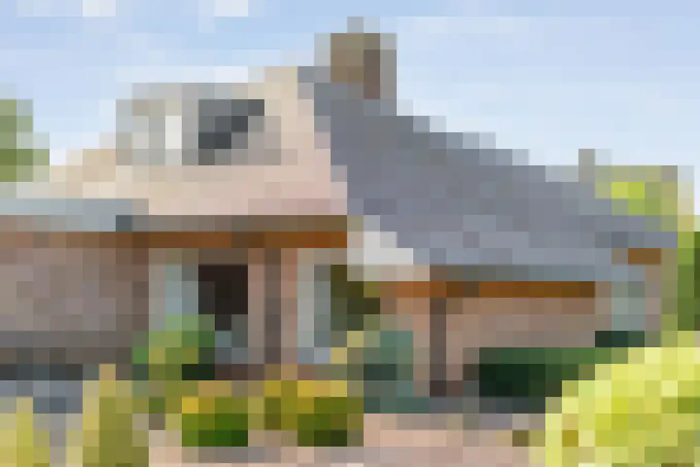 't Sumpel 52 Den Ham thumbnail 68