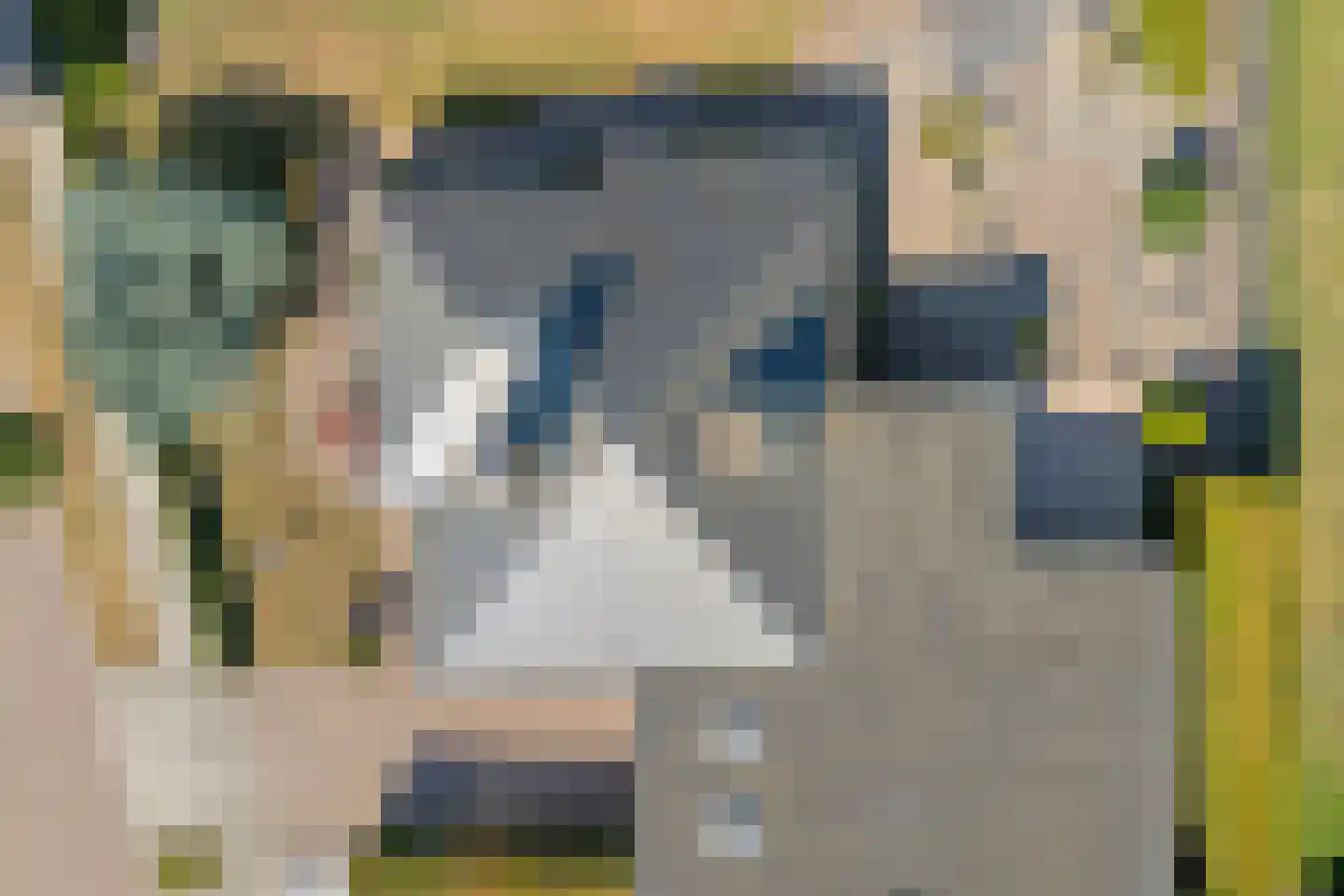 't Sumpel 52 Den Ham thumbnail 70