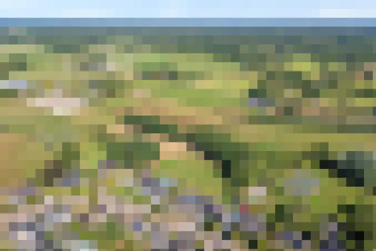 't Sumpel 52 Den Ham thumbnail 71