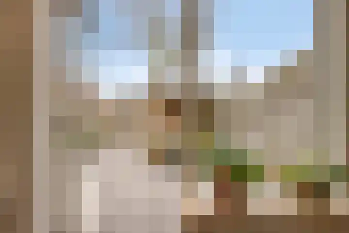 't Veld 65 Wezep thumbnail 26