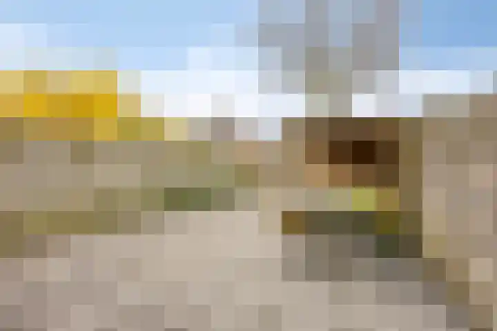 't Veld 65 Wezep thumbnail 27