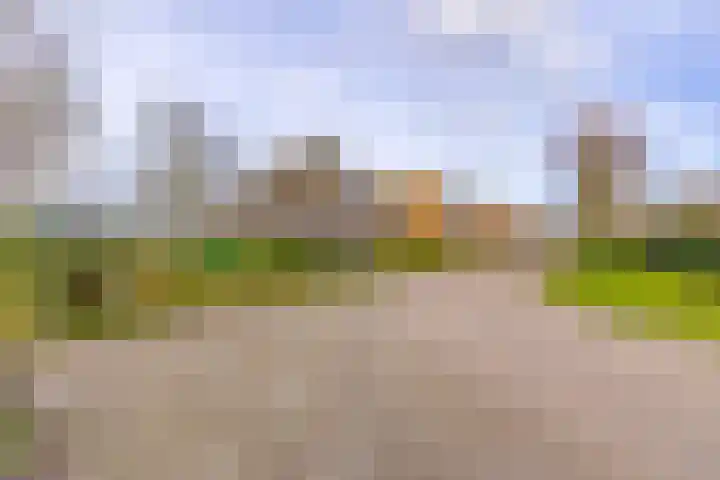 't Veltken 1 Sellingen thumbnail 10