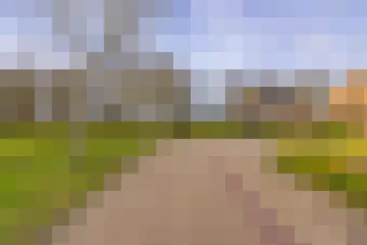 't Veltken 1 Sellingen thumbnail 11