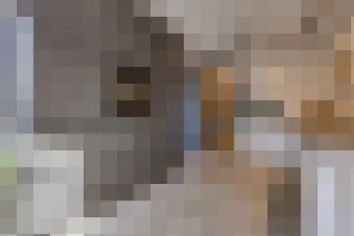 't Veltken 1 Sellingen thumbnail 21