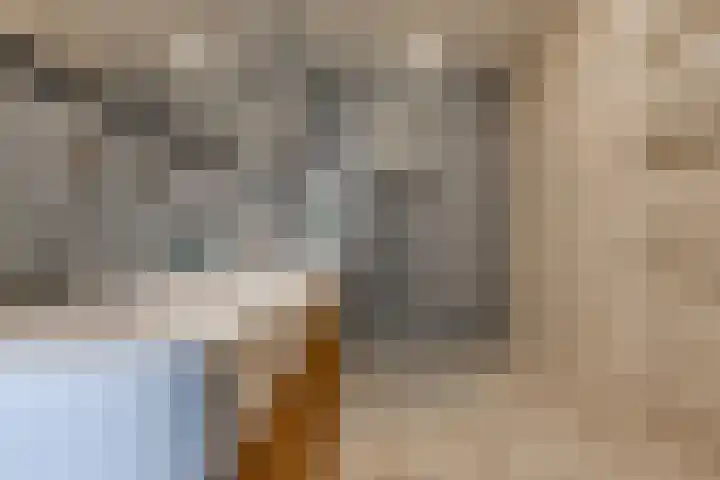 't Veltken 1 Sellingen thumbnail 26
