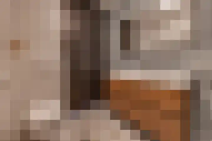 't Veltken 1 Sellingen thumbnail 27