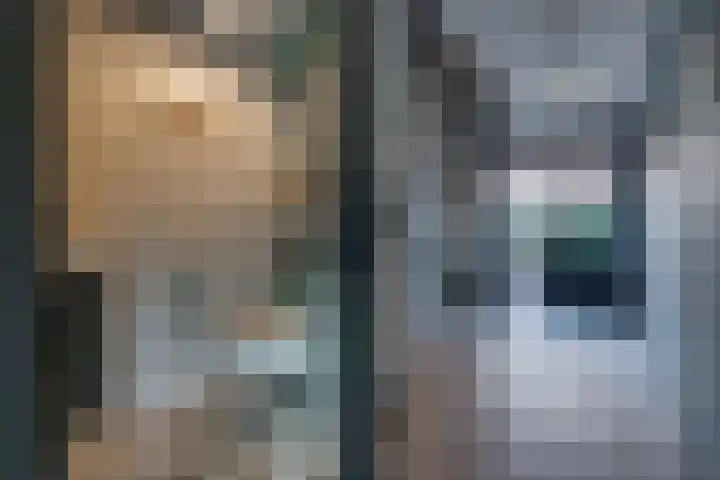 't Veltken 1 Sellingen thumbnail 31
