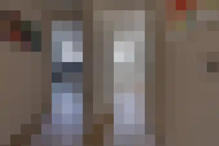 't Veltken 1 Sellingen thumbnail 38