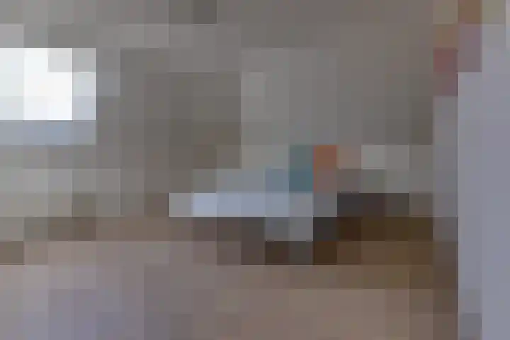 't Veltken 1 Sellingen thumbnail 39