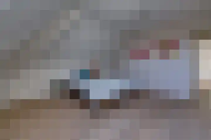 't Veltken 1 Sellingen thumbnail 40