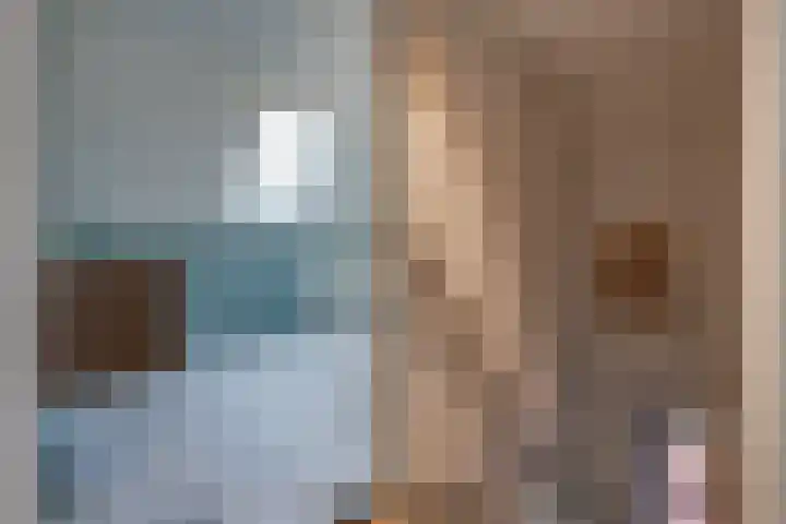't Veltken 1 Sellingen thumbnail 42