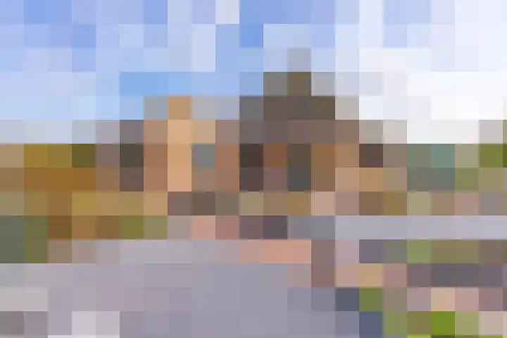 't Veltken 1 Sellingen thumbnail 45