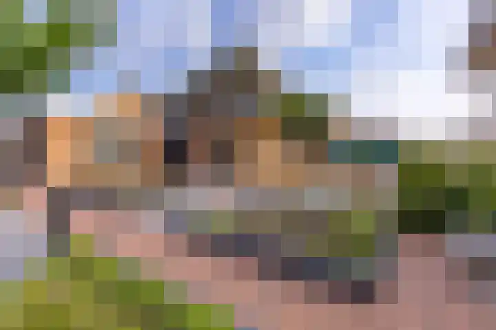 't Veltken 1 Sellingen thumbnail 46