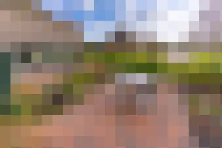 't Veltken 1 Sellingen thumbnail 48