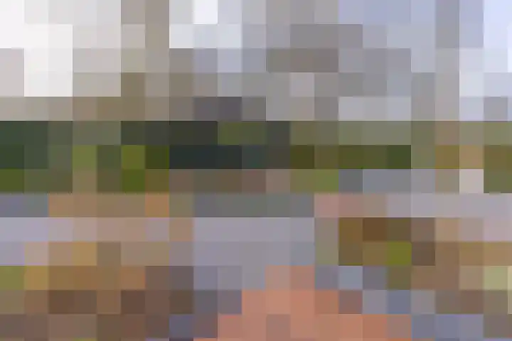 't Veltken 1 Sellingen thumbnail 5
