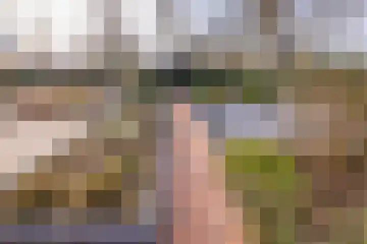 't Veltken 1 Sellingen thumbnail 50