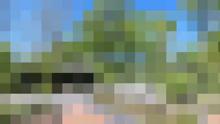 't Veltken 1 Sellingen thumbnail 53