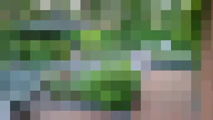 't Veltken 1 Sellingen thumbnail 54