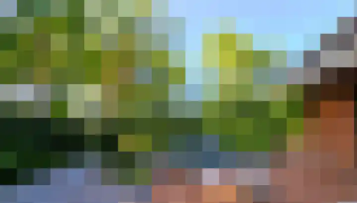 't Veltken 1 Sellingen thumbnail 55