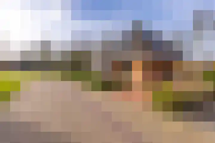 't Veltken 1 Sellingen thumbnail 7