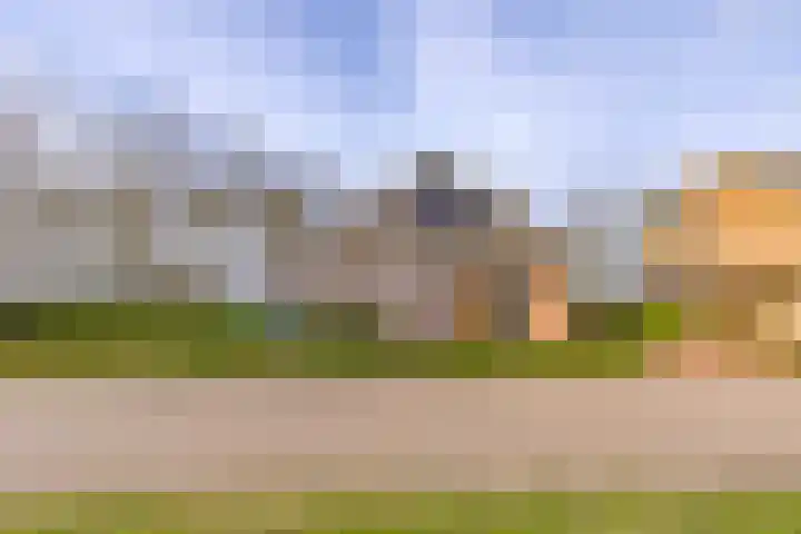 't Veltken 1 Sellingen thumbnail 8