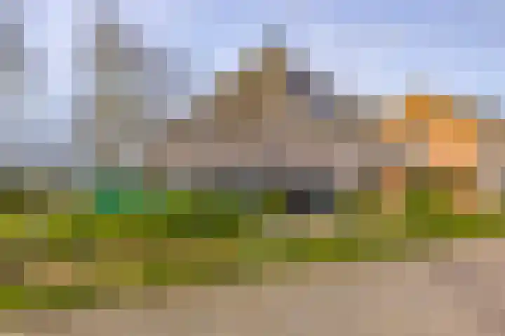 't Veltken 1 Sellingen thumbnail 9