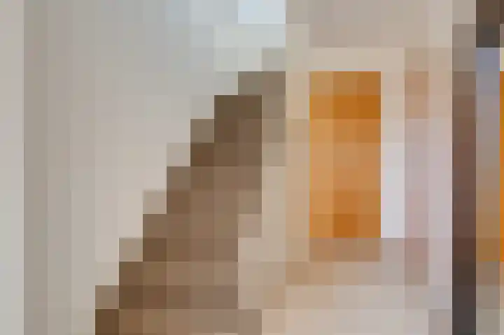 't Weike 7 Duiven thumbnail 10