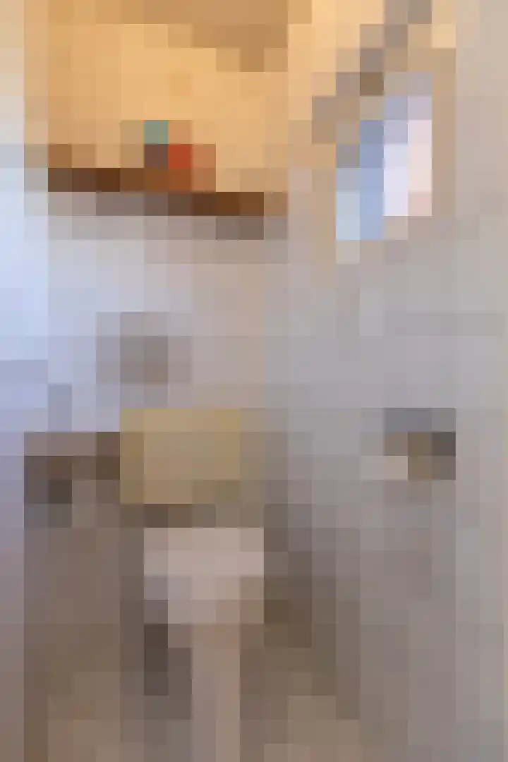 't Weike 7 Duiven thumbnail 11
