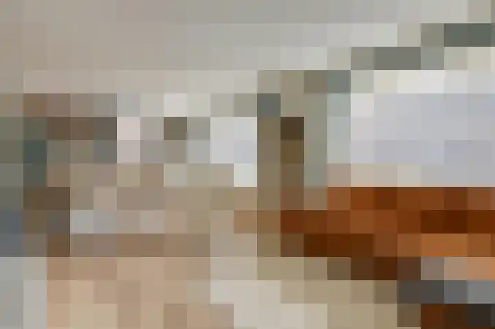 't Weike 7 Duiven thumbnail 12