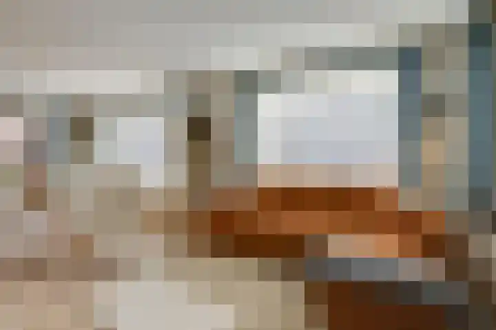 't Weike 7 Duiven thumbnail 13