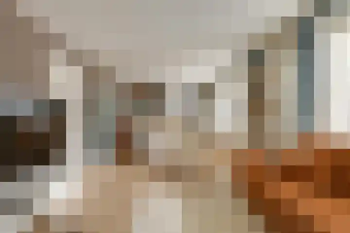 't Weike 7 Duiven thumbnail 14