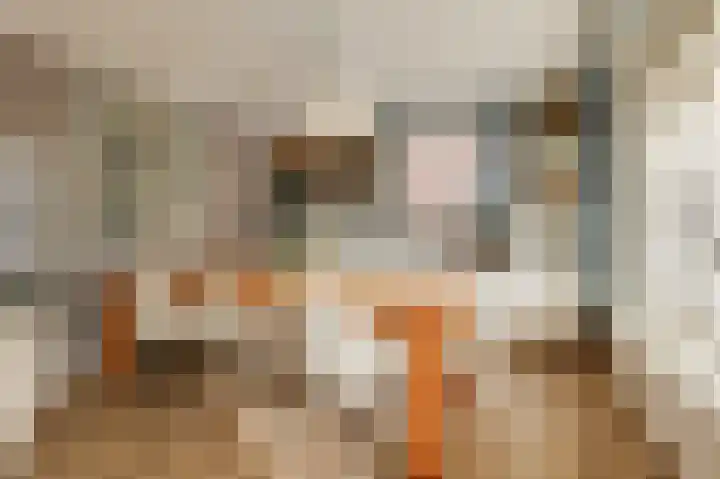 't Weike 7 Duiven thumbnail 18