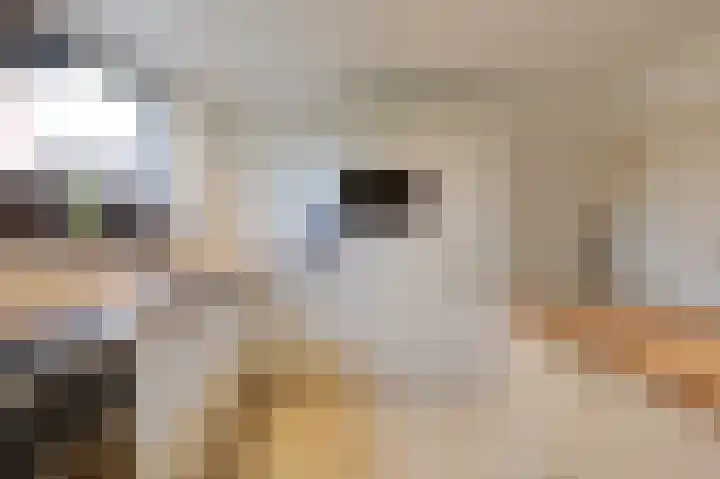 't Weike 7 Duiven thumbnail 24